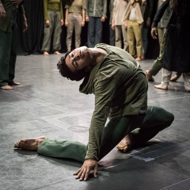 Novena Sinfonía, danza contemporánea.