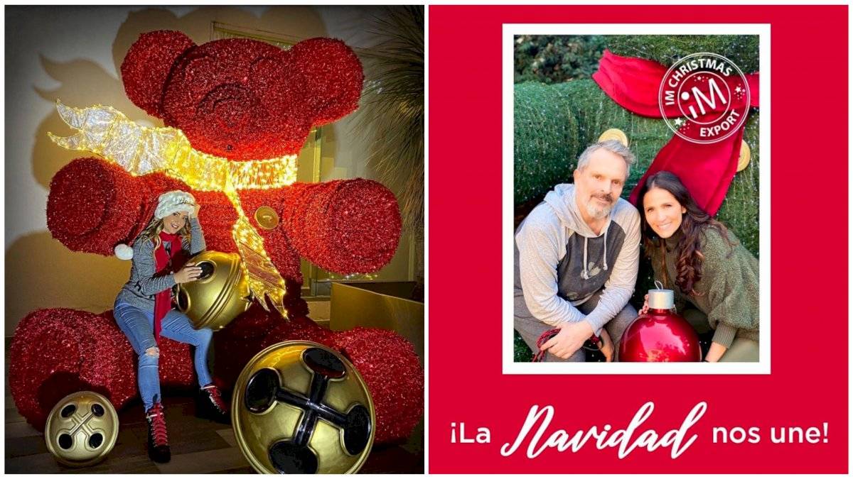La famosa presentadora mexicana, Galilea Montijo, no tiene miedo en demostrar lo costosos que son sus adornos de navidad en redes.