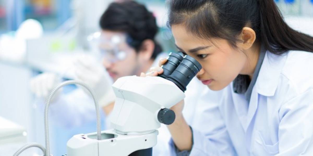Investigadores crean mini riñones con el método de bioimpresión