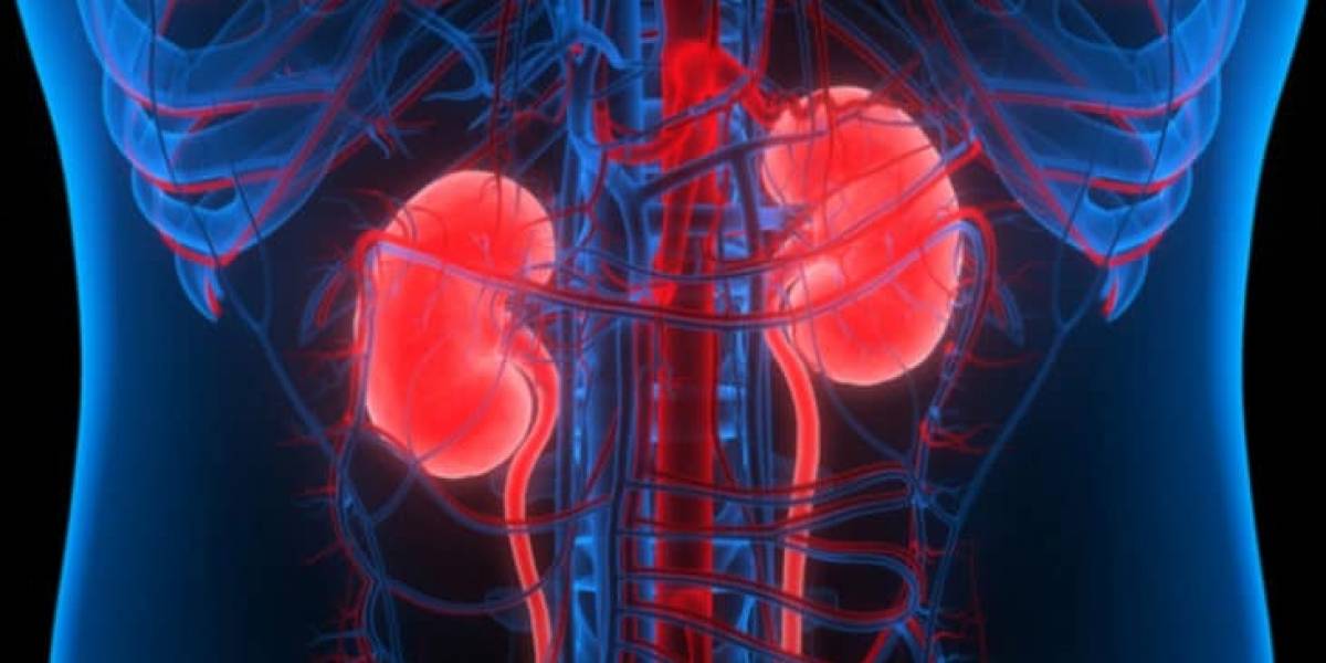 Salud: ¿cómo se siente y qué le pasa a tu cuerpo cuando te "desintoxicas"?