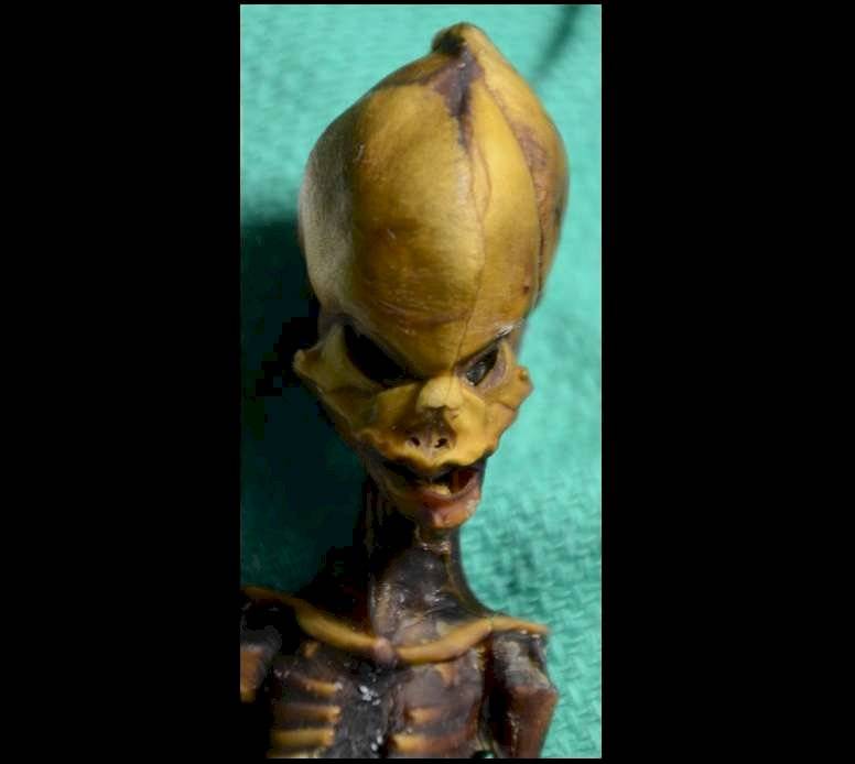 Alien 2