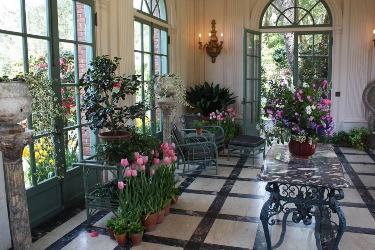 Ideas sencillas para hacer un jardín pequeño dentro de la casa | Nueva