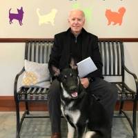 Amigos peludos: Las dos mascotas de Joe Biden que lo acompañarán en la Casa Blanca