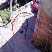 ¡Lamentable! Lastiman a perro callejero en Huixquilucan