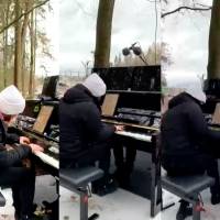 Pianista toca en el bosque en protesta contra construcción de autopista