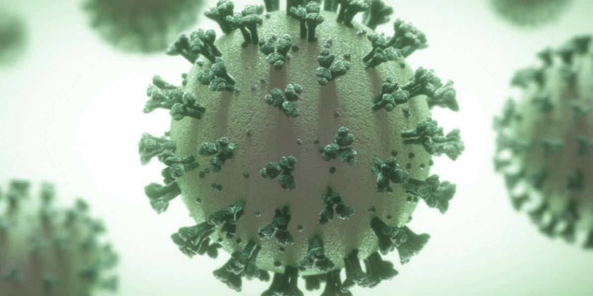 COVID-19: descubren como es que ataca al cerebro el coronavirus