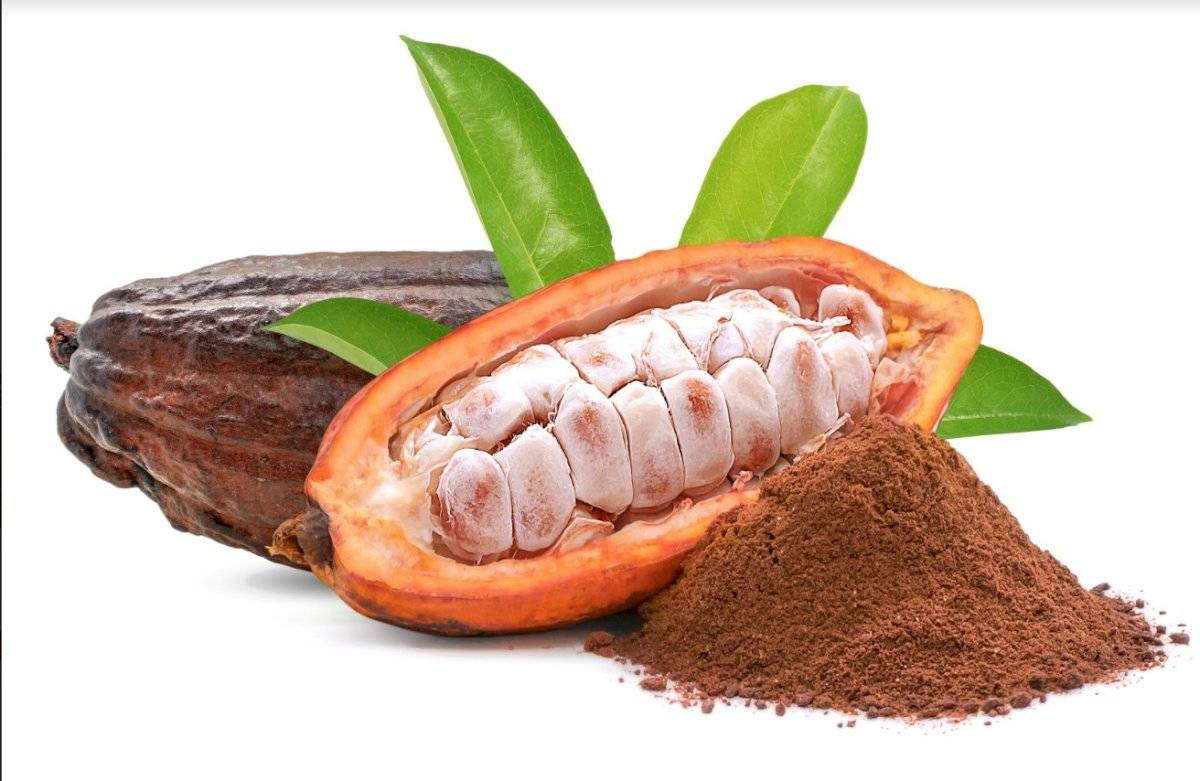Cocoa
