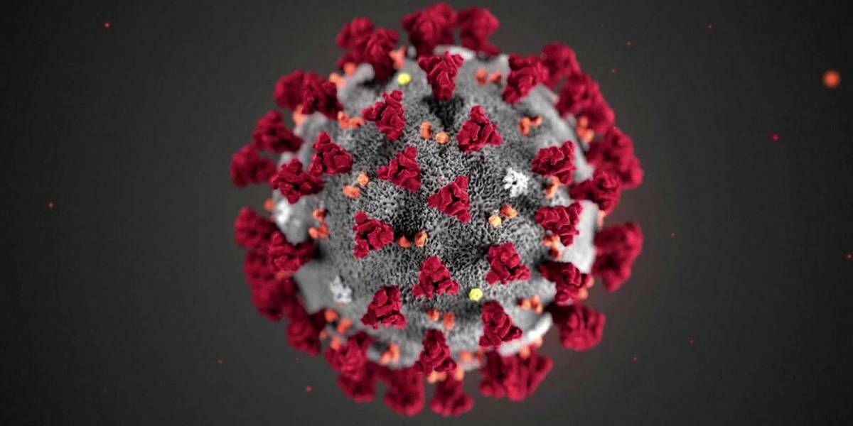 Coronavirus: ¿cómo se hizo la vacuna de Pfizer y cómo funciona?