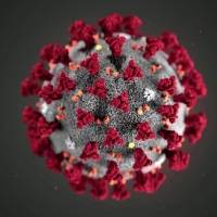 Coronavirus: ¿cómo se hizo la vacuna de Pfizer y cómo funciona?