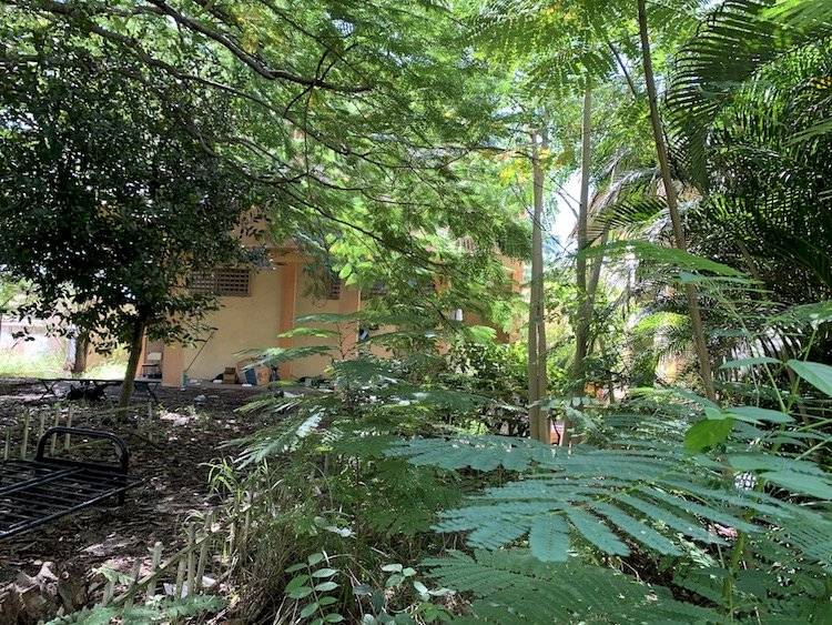 Se aceleró la compra de escuelas cerradas en 2019, y fue un buen