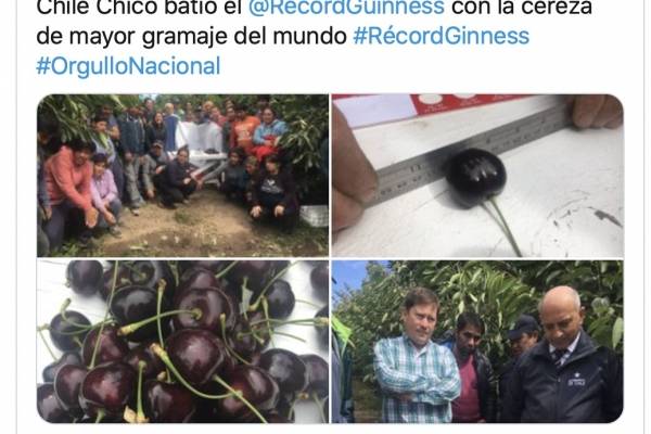 Cereza más grande