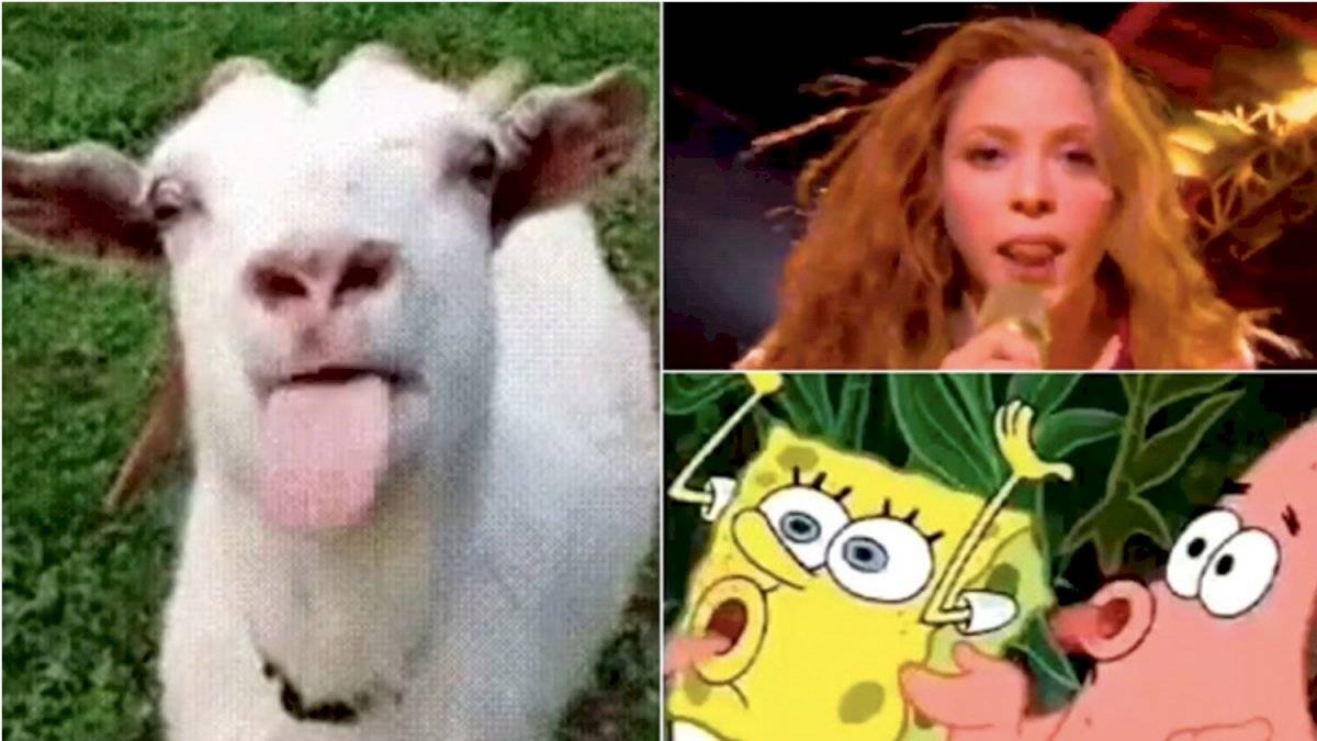 Estos fueron los mejores memes de 2020, y quiénes los protagonizaron