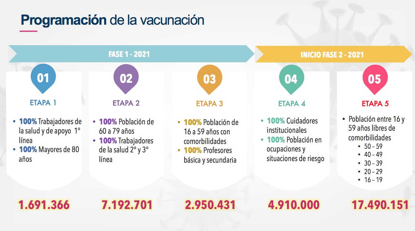 fases de la vacuna