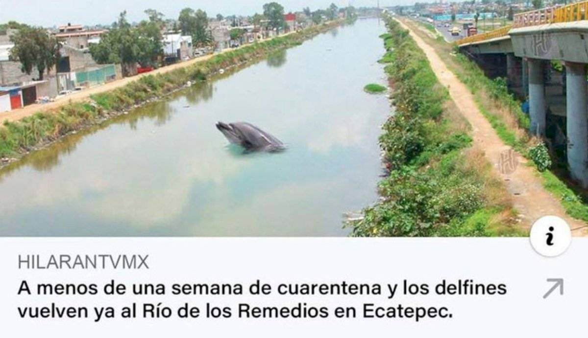 Estos fueron los mejores memes de 2020, y quiénes los protagonizaron