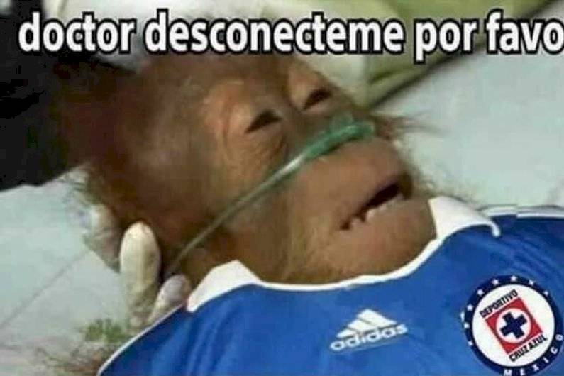 Estos fueron los mejores memes de 2020, y quiénes los protagonizaron