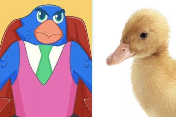 ¿Duelo de pájaros? Contralorito le mandó un recado al Pato del Banco Estado: "Hay que ser rigurosos"