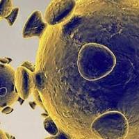 Todo lo que se sabe de la nueva cepa de coronavirus que hace temblar a Reino Unido