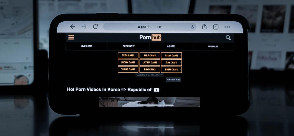 PornHub.