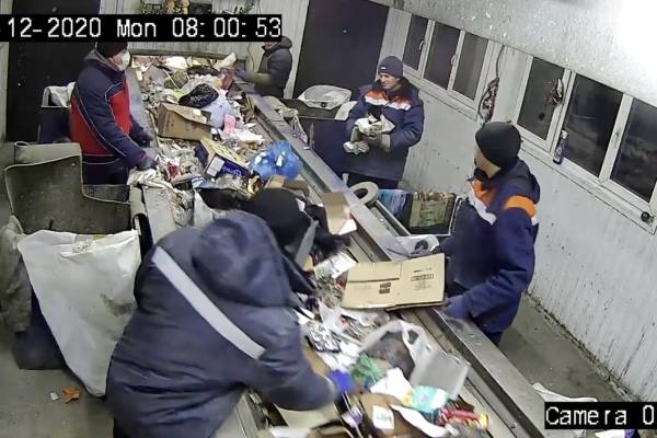 Milagro navideño: trabajador salva a gatito de ser triturado junto a la basura
