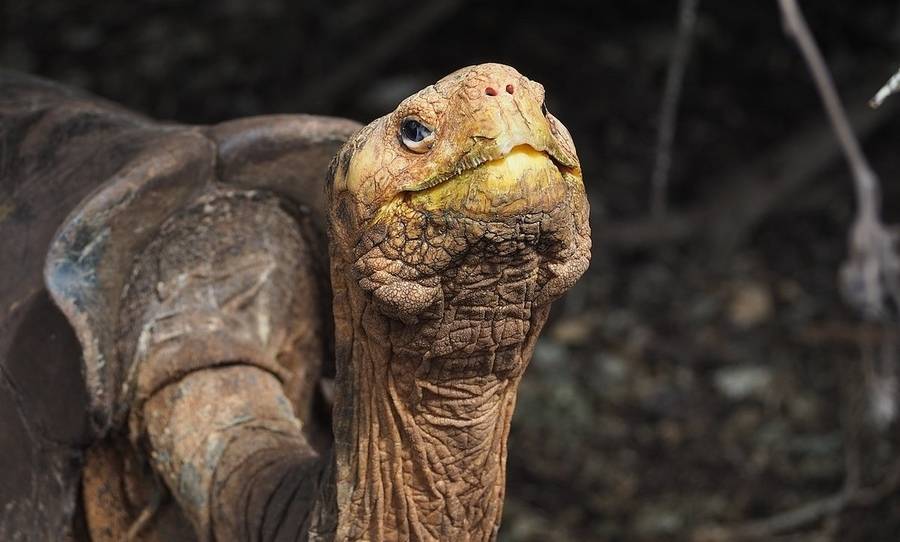2020 noticias buenas resumen