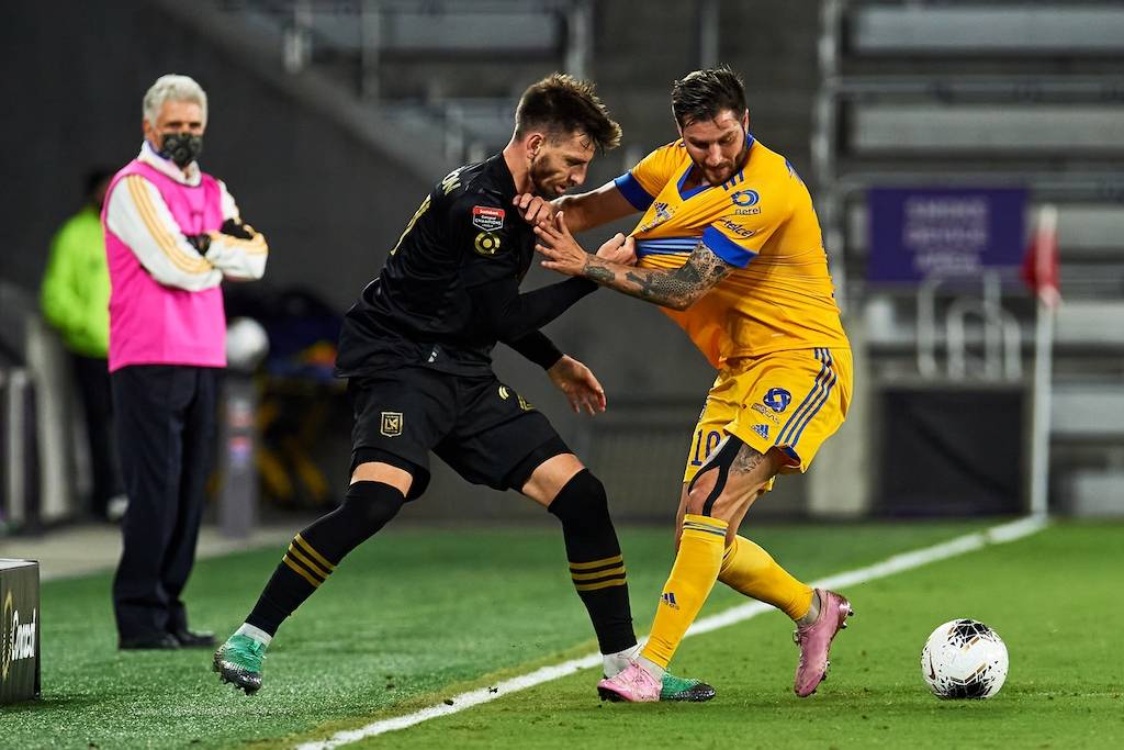 Tigres