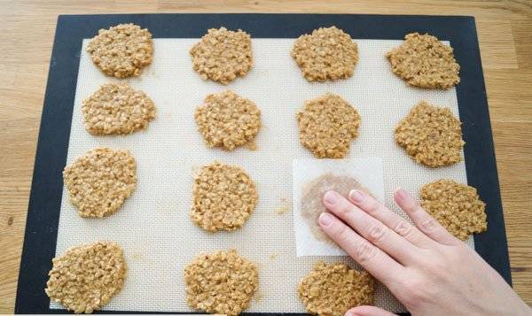 Lleva tus galletas al horno y listo