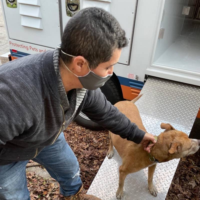 Vagabundo salvó a todos los perros y gatos durante incendio de refugio de animales