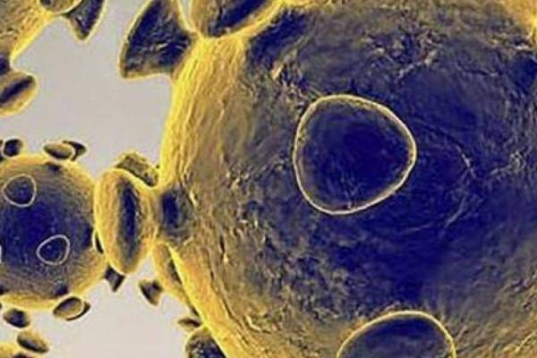 Nueva cepa británica de coronavirus: los detalles de la mutación del virus que llegó a Chile