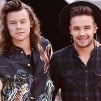 Liam Payne aplaude a Harry Styles por llevar un vestido en la portada de Vogue: "Pensé que era genial"