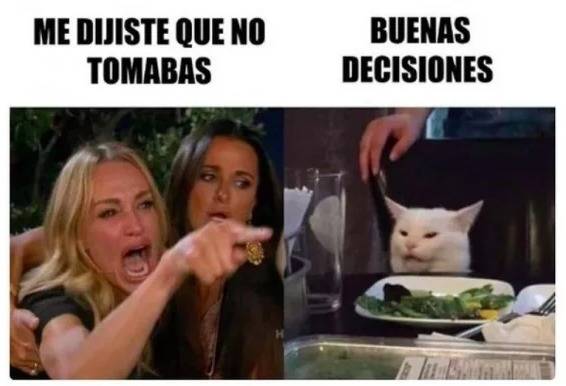 memes gato