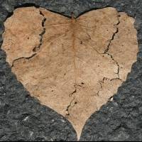Estos son los signos del zodiaco que provocan marcadas decepciones en el amor