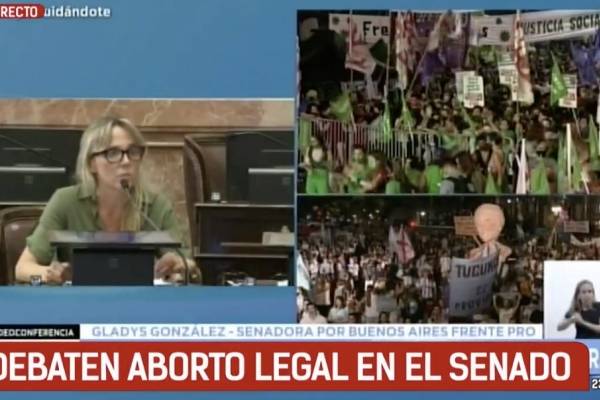 La aplaudida intervención de senadora en votación de legalización del aborto en Argentina