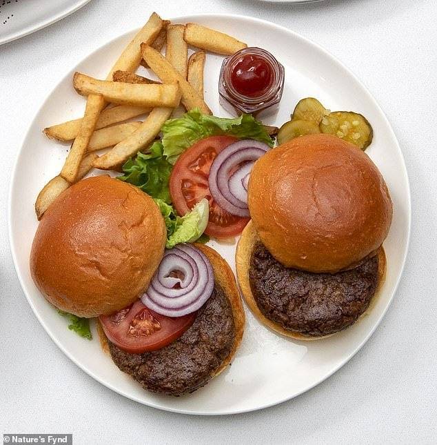 Hamburguesa hecha a partir de microbios.