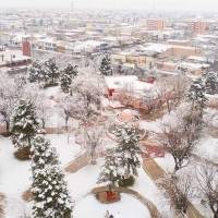 Las nevadas llegaron a Chihuahua y dejaron hermosas imágenes