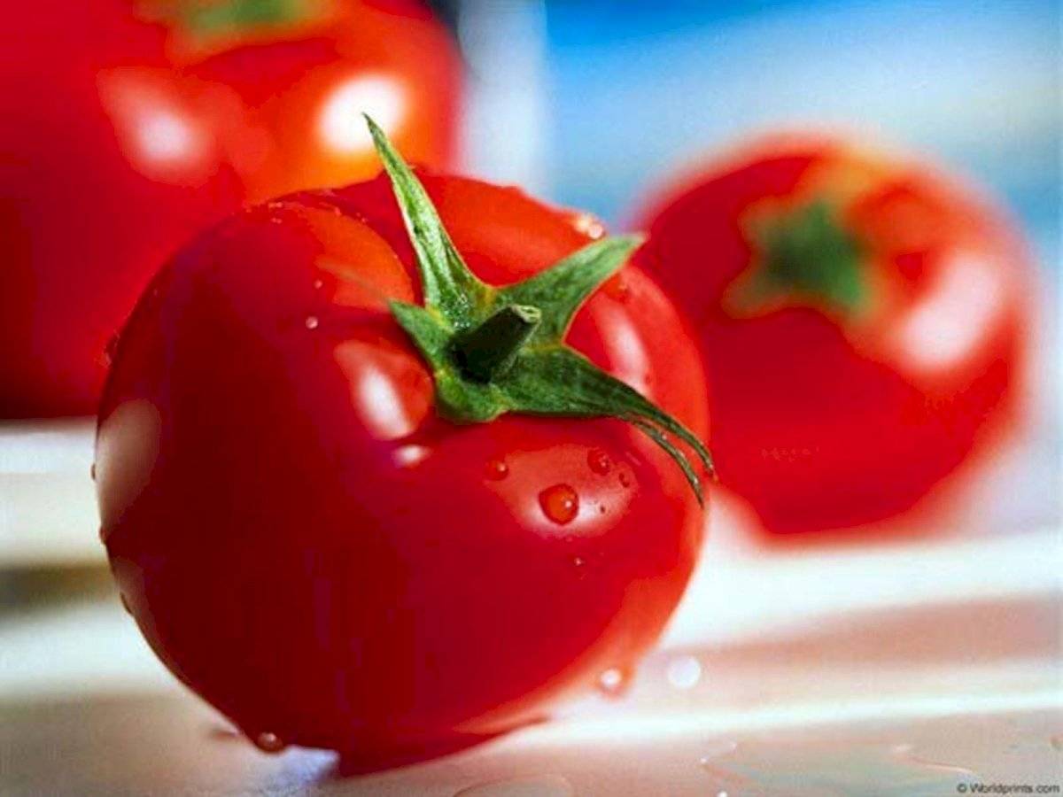 Tomate