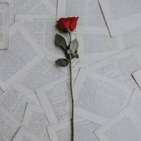 3 ebook para quem deseja voltar a acreditar no amor
