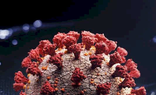 Hallan coronavirus en repuestos de automóviles en fábrica localizada en China
