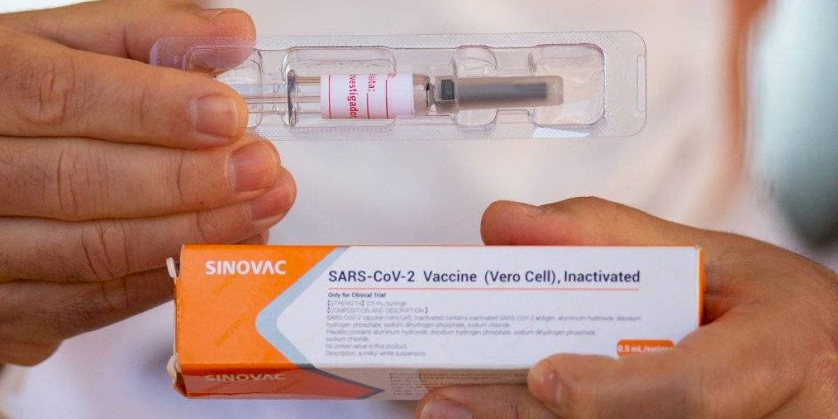vacuna sinovac