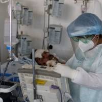 Día fatídico en Guanajuato, mueren 101 personas por Covid-19