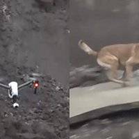Perro y dron utilizados en operaciones de emergencia en Italia