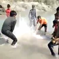 ¡Lamentable! A punta de palos matan a delfín de agua dulce en India