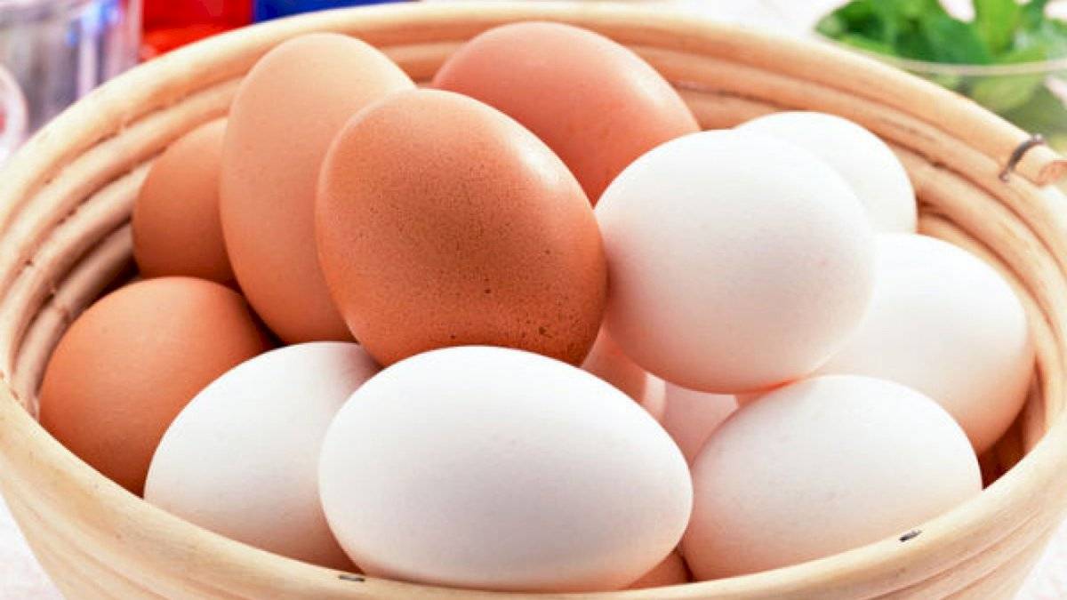 Los huevos son ricos en proteínas y bajos en grasa.