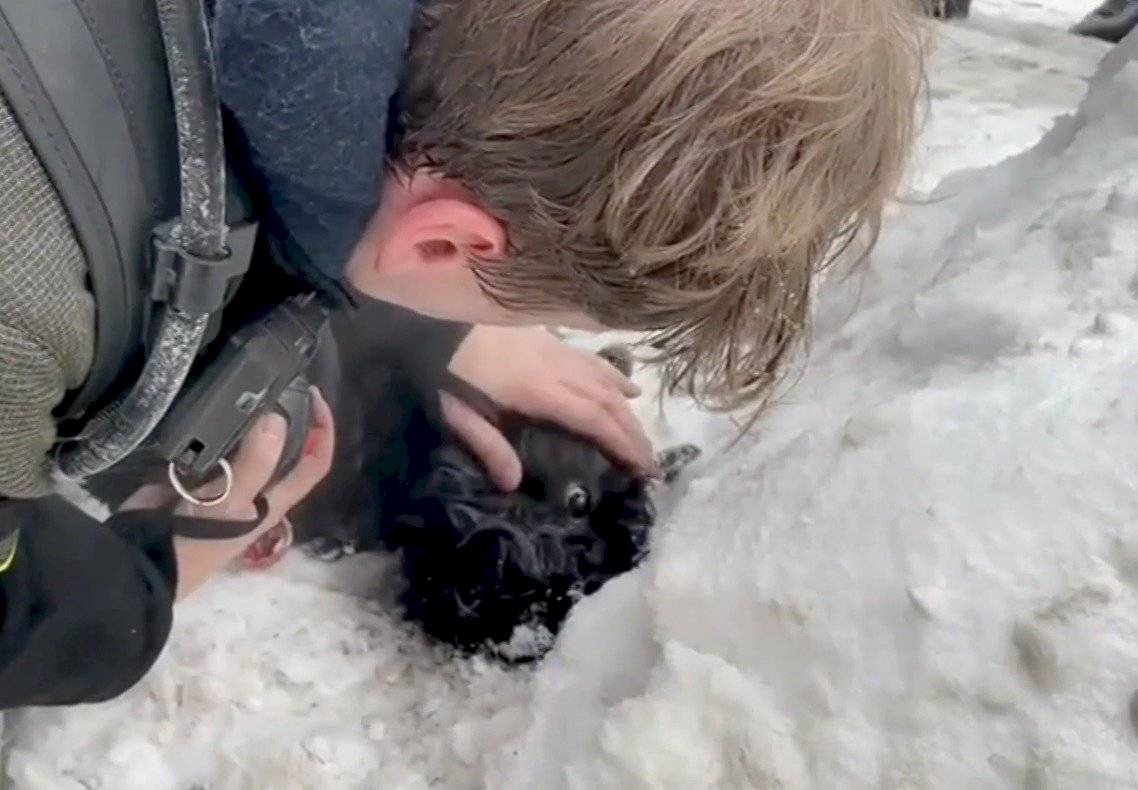 Rescatistas de Moscú reaniman a dos perros después de un incendio