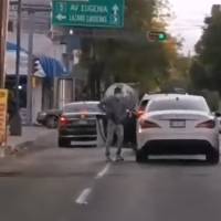 ¡Lamentable! Captan asalto a automovilista en colonia Del Valle
