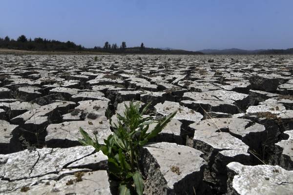 ¡Qué esperamos!: Greenpeace advierte que Chile está a punto de entrar en "extremo estrés hídrico"