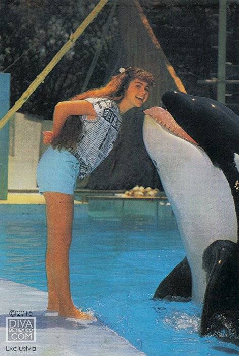 Poco a poco la fama de Keiko creció, se lanzaron dos discos interpretados por Lucero con temas relativos al cetáceo macho.