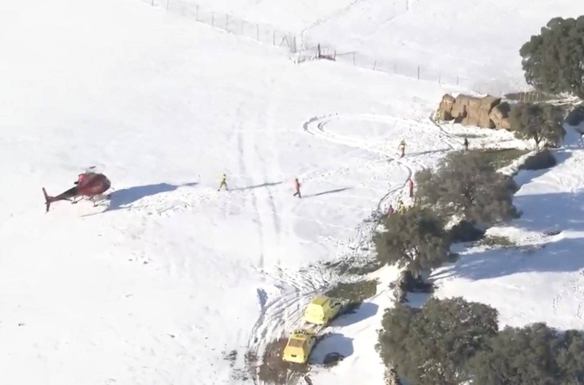Agricultores de Madrid preocupados por alimentación de sus animales tras nevazón bomberos