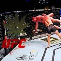 La UFC legaliza el consumo de marihuana entre sus peleadores