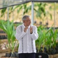 Para evitar cultivo de drogas, AMLO ofrece ampliar Sembrando Vida