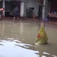 Declaran estado de alerta en Bolivia por intensas lluvias e inundaciones